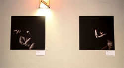 Surexposition - photo 3