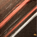 The leaf with no fear - Urban and architectural photography