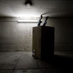 Cardboard Box Head #4 - The big come down (photographie conceptuelle)
