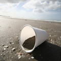 Microcosme - Conceptual photography
