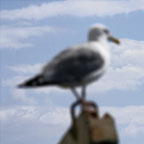 Out of focus - Conceptual photography