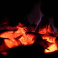 Fire - Nature and Animal Photography