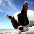 My precious - Nature and Animal Photography