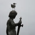 No respect - Nature and Animal Photography