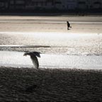 Collision - Photographie ombre et lumi�re