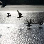 Evolution - Photographie ombre et lumi�re