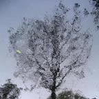 Pluie r�v�latrice - Photographie ombre et lumi�re