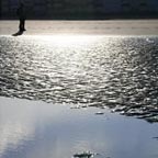 Stand alone complex - Photographie ombre et lumi�re