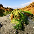 Landscape - Landscape photography