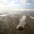 Rejet - Landscape photography